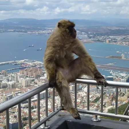 Higueronrentals Majestic Alboran Фуенхірола