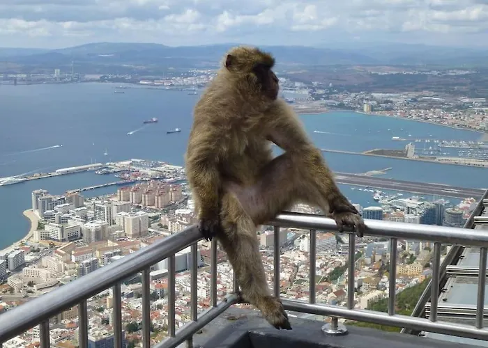 Higueronrentals Majestic Alboran פואנגירולה